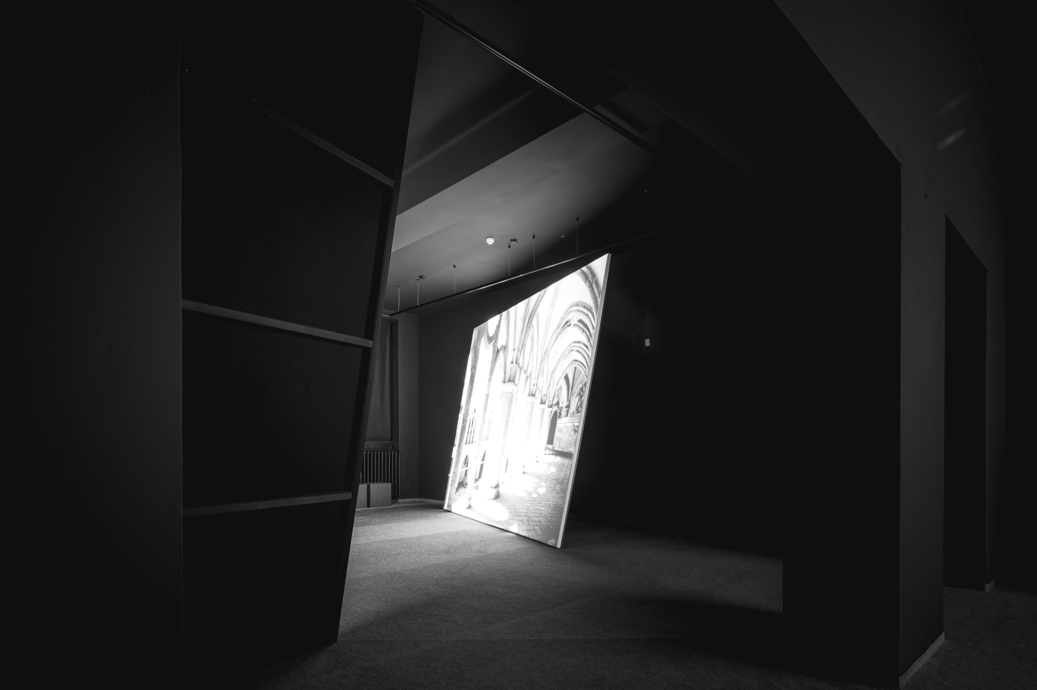 NZ6 2322 DxO DeepPRIME XD2s